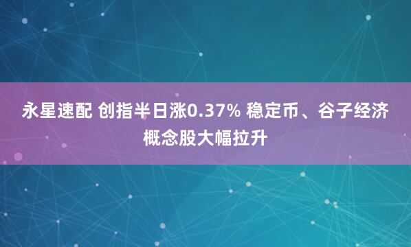 永星速配 创指半日涨0.37% 稳定币、谷子经济概念股大幅拉升
