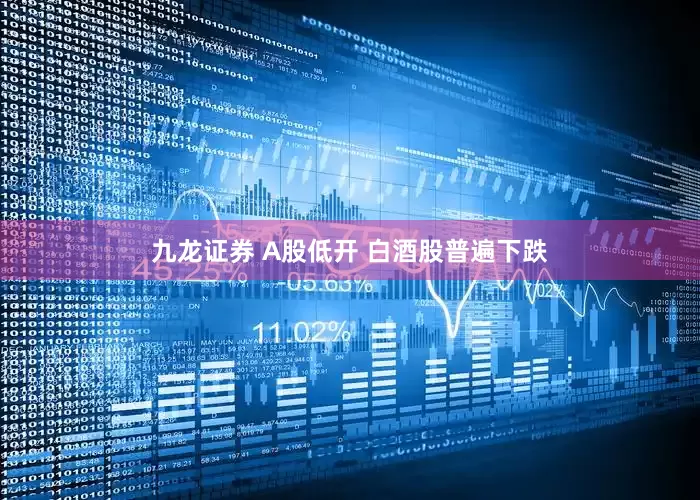 九龙证券 A股低开 白酒股普遍下跌