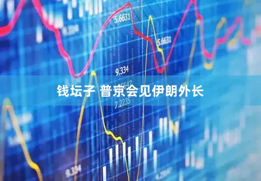 钱坛子 普京会见伊朗外长