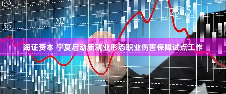 海证资本 宁夏启动新就业形态职业伤害保障试点工作