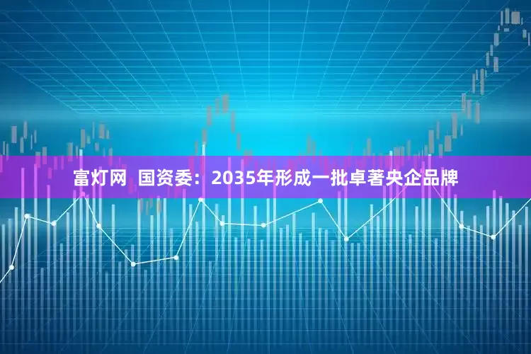 富灯网  国资委：2035年形成一批卓著央企品牌