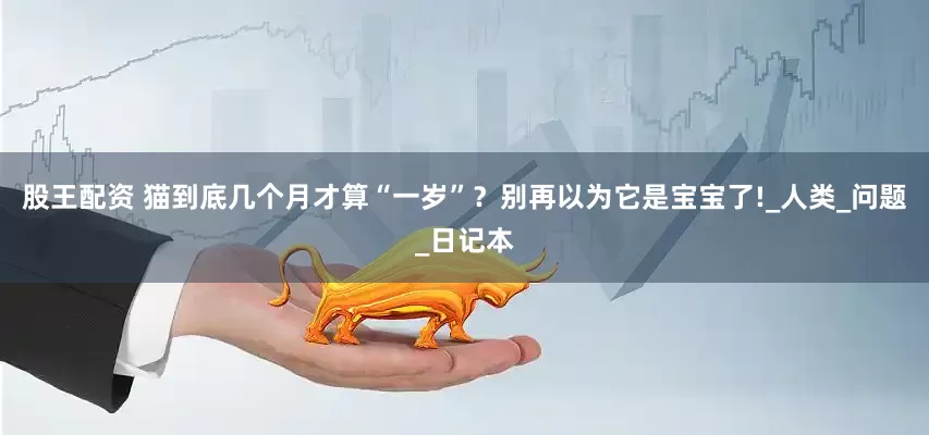 股王配资 猫到底几个月才算“一岁”？别再以为它是宝宝了!_人类_问题_日记本