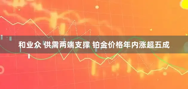和业众 供需两端支撑 铂金价格年内涨超五成