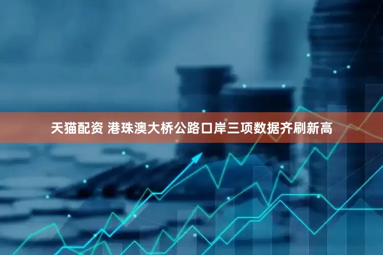 天猫配资 港珠澳大桥公路口岸三项数据齐刷新高