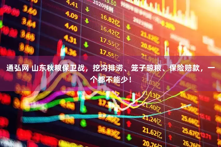 通弘网 山东秋粮保卫战，挖沟排涝、笼子晾粮、保险赔款，一个都不能少！