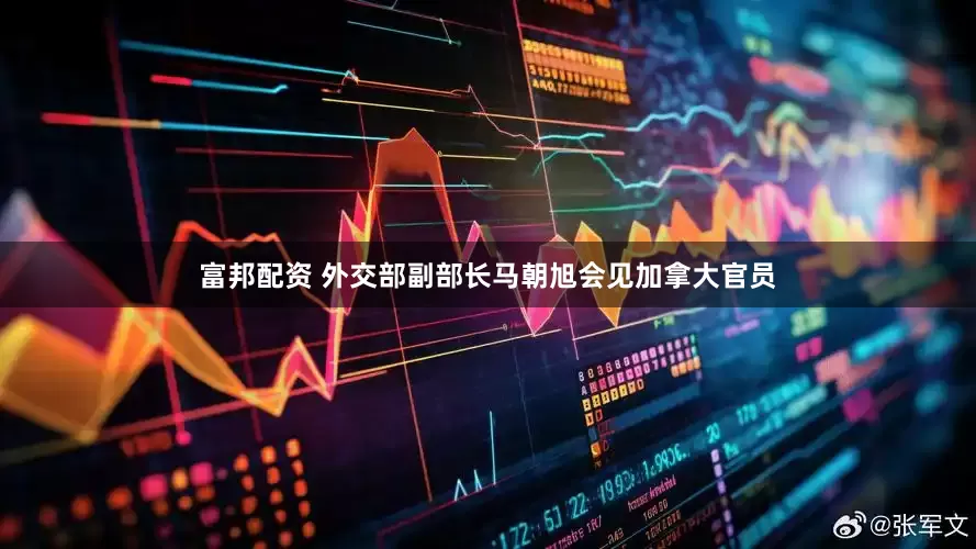 富邦配资 外交部副部长马朝旭会见加拿大官员